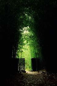 The Path to Seteria