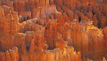 Ritten field in Dessert